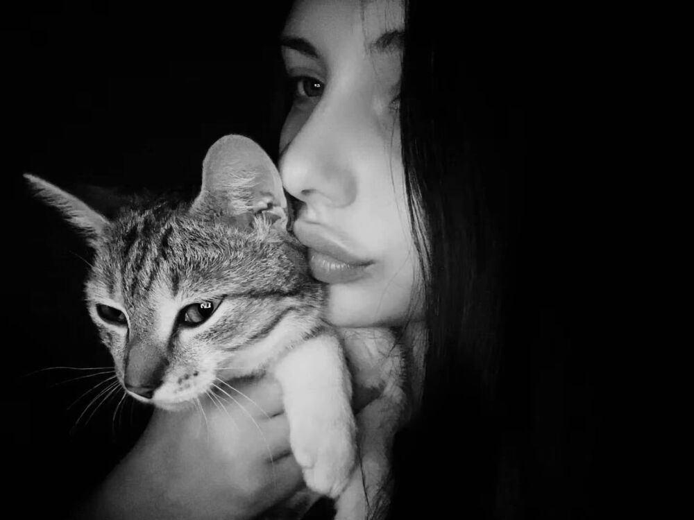 ���� 56185318 ������� ��������, 27 ���, ���� ���������� � ���������