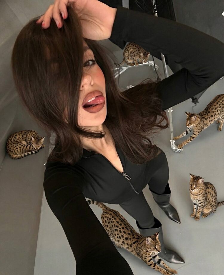 ���� 55044788 ������� ������, 24 ����, ���� ���������� � ������