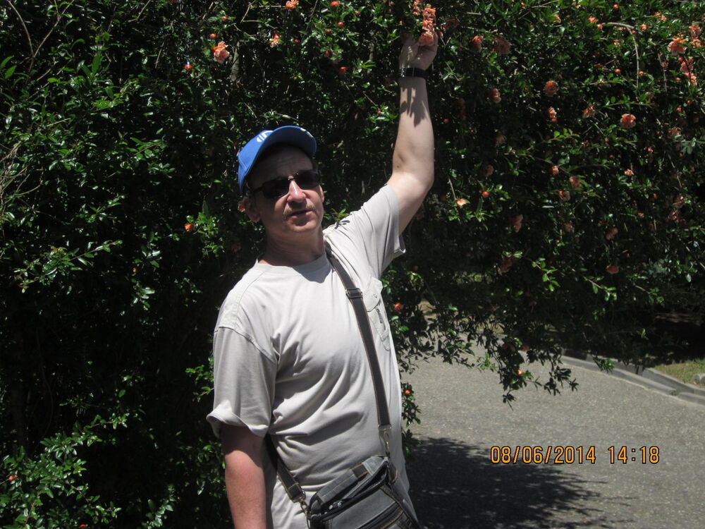 ���� 5362058 ������� ������, 65 ���, ���� ���������� � ������