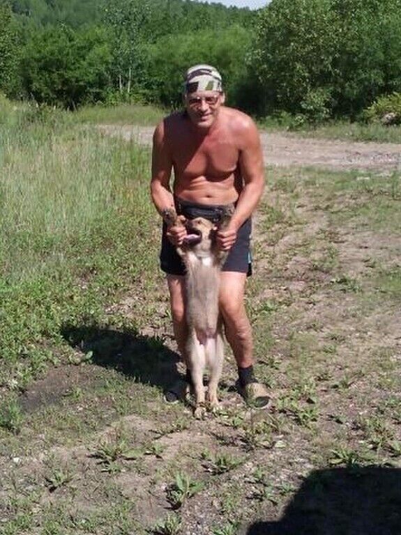 ���������� ���������, ���� ������� ����, 50 ���, ������������ 