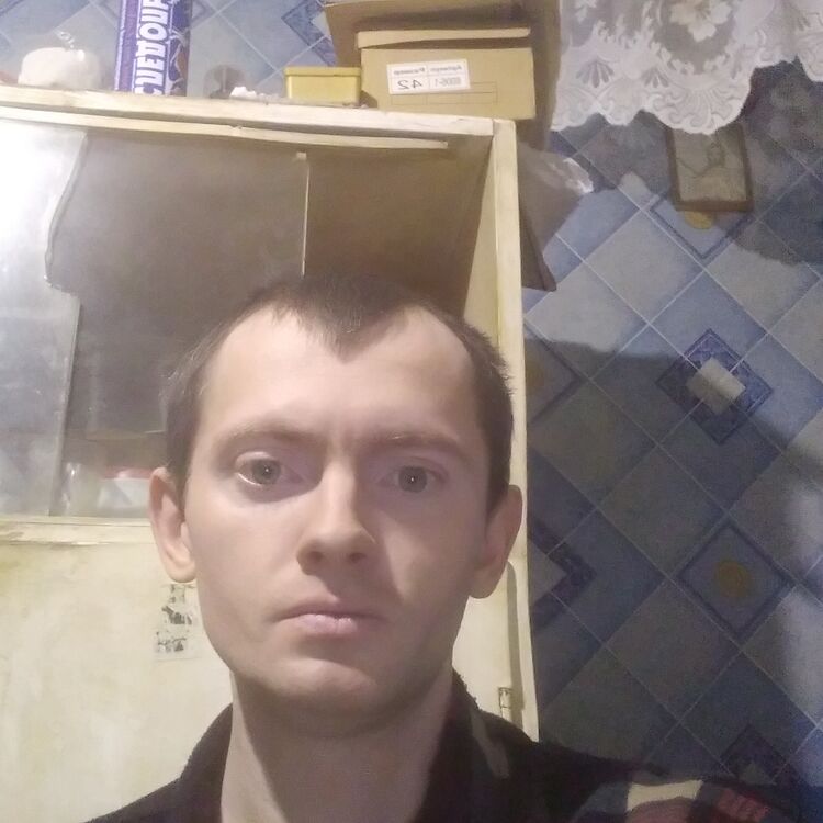 ���� 32122958 ������� ����, 36 ���, ���� ���������� � ������