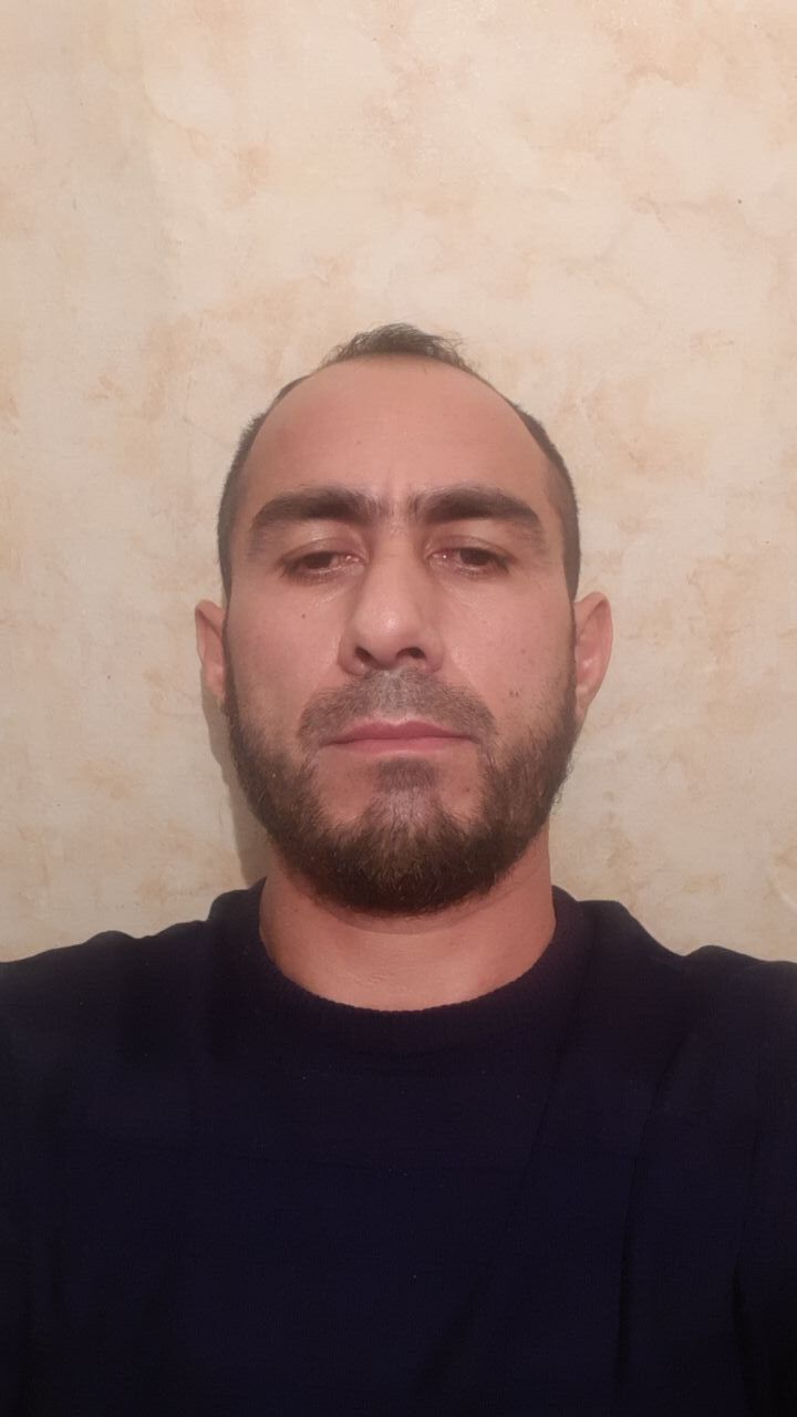  24788738  , 43 ,    