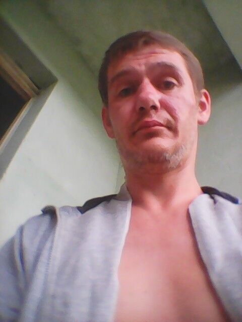  14991348  , 41 ,    