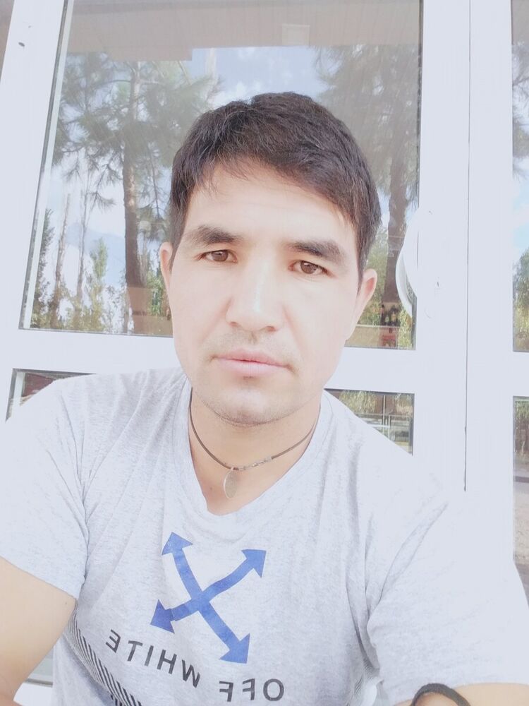  20647288  , 43 ,    