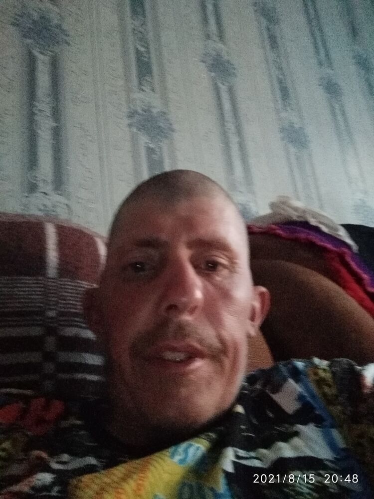 ���� 24566258 ������� ������, 40 ���, ���� ���������� � ���������