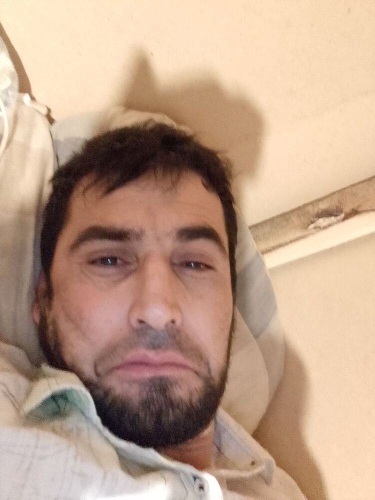 ���� 31971328 ������� ���, 42 ����, ���� ���������� � ������