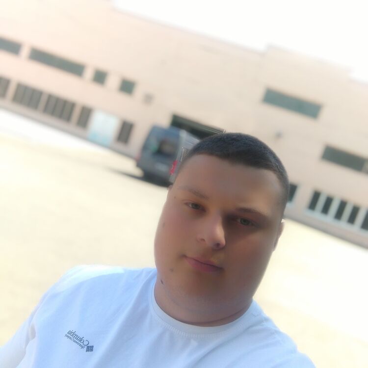 53876959  , 24 ,    
