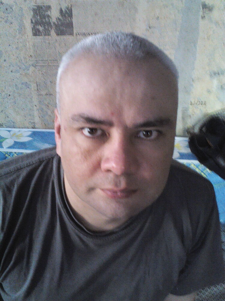  24484338  , 53 ,    