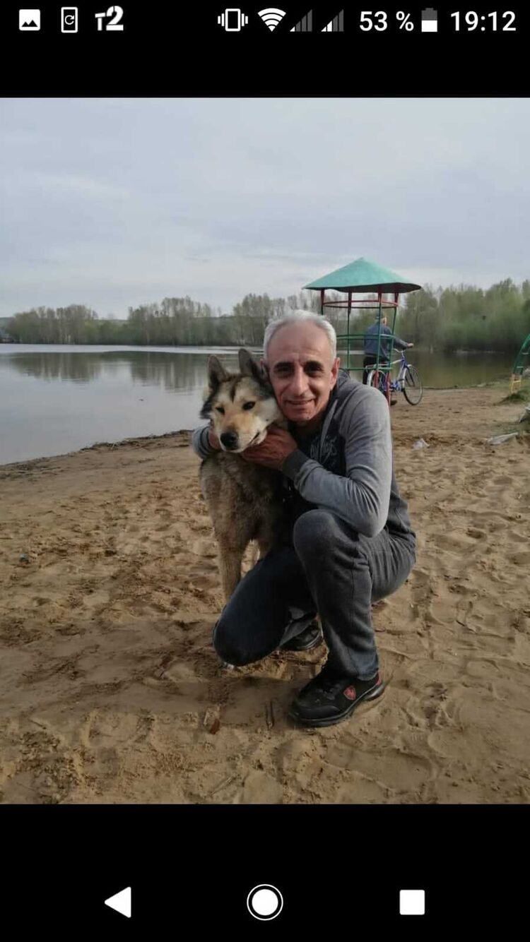 ���� 31413088 ������� �����, 62 ����, ���� ���������� � �������������