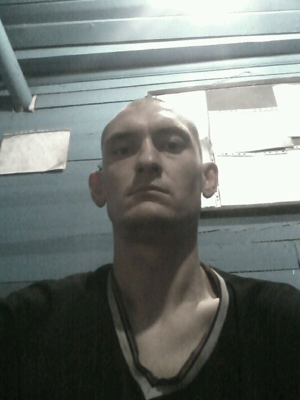 6600838  , 40 ,    
