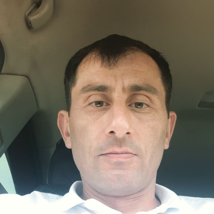 41325738  , 42 ,    