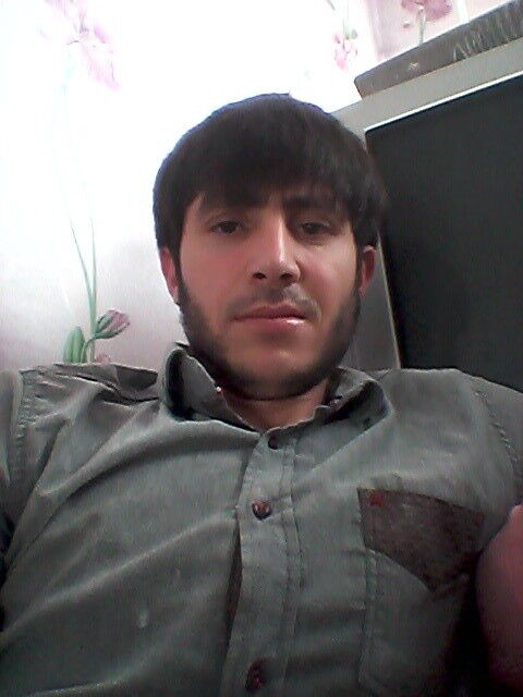 ���� 17293688 ������� HABIB, 33 ����, ���� ���������� � ������