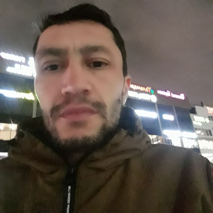  32223408  , 41 ,    