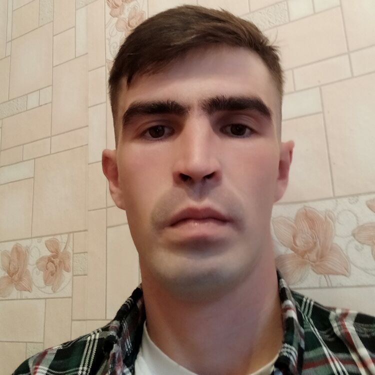  28346768  , 32 ,    