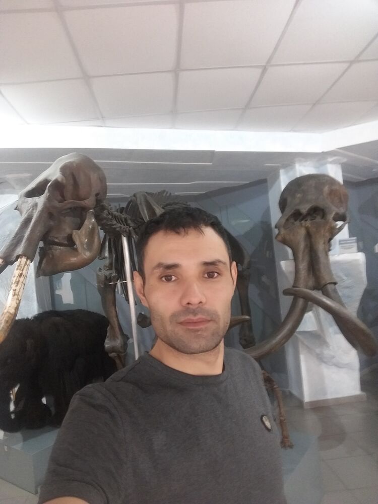 ���� 24800568 ������� ����, 38 ���, ���� ���������� � ������������