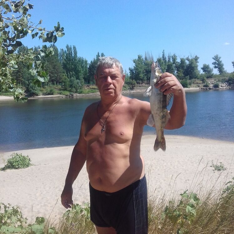  ,   , 76 ,   ,   , 