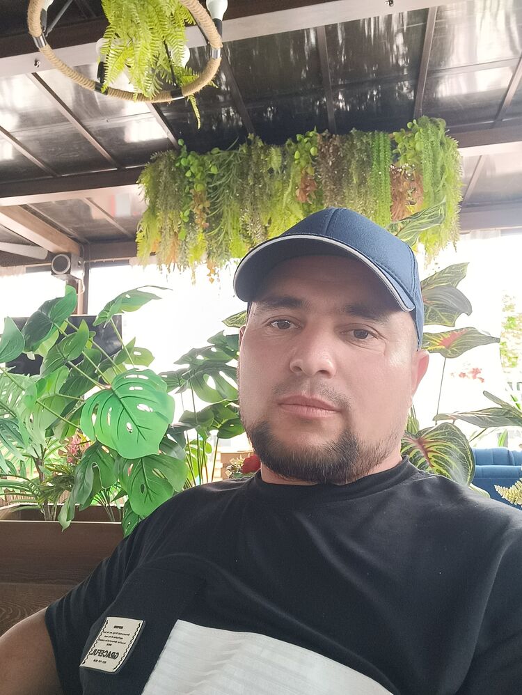  52871508  , 38 ,    