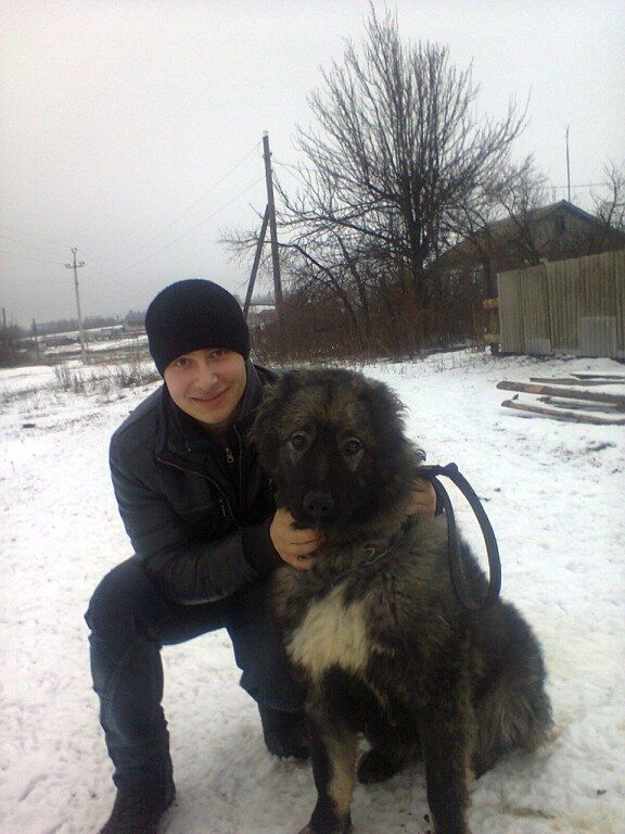 ���������� ������, ���� ������� ���������, 31 ���, ������������ ��� ������, ����� � ���������