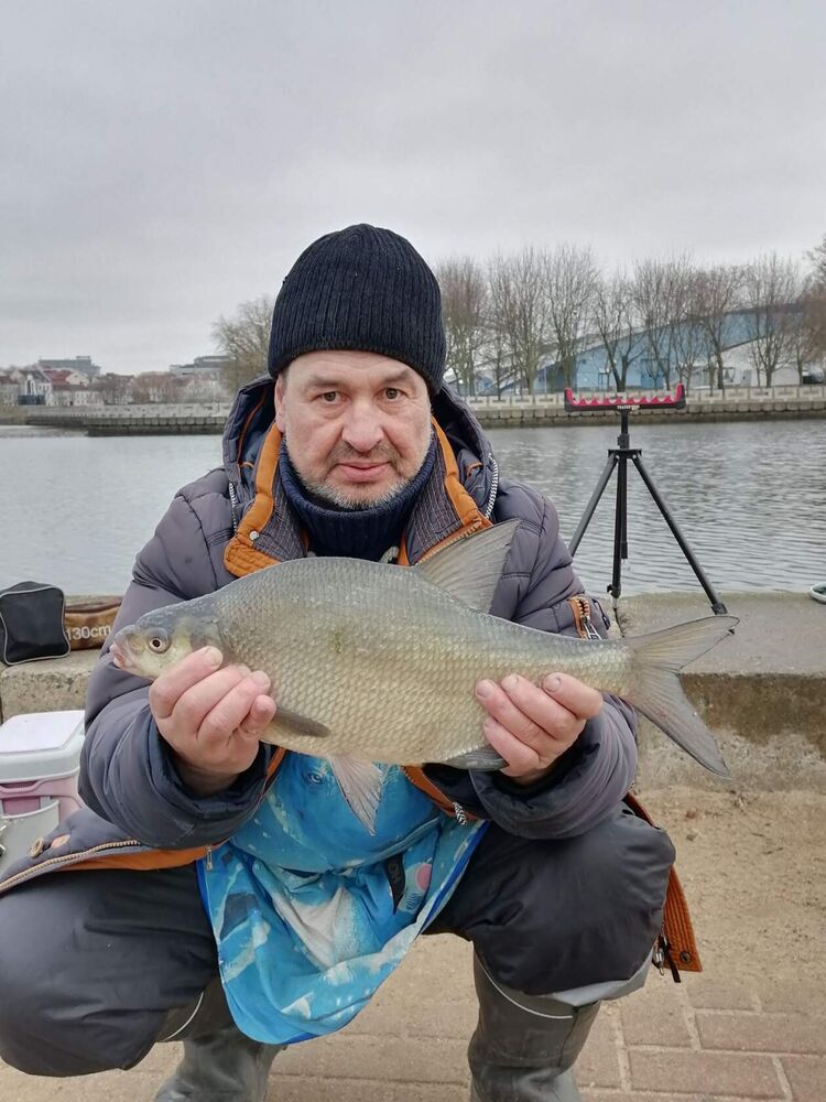 ���������� �����, ���� ������� ��������, 55 ���, ������������ ��� ����� � ���������