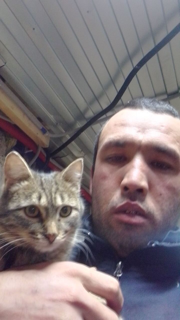 ���� 44944678 ������� Mamur, 36 ���, ���� ���������� � ���������� ������