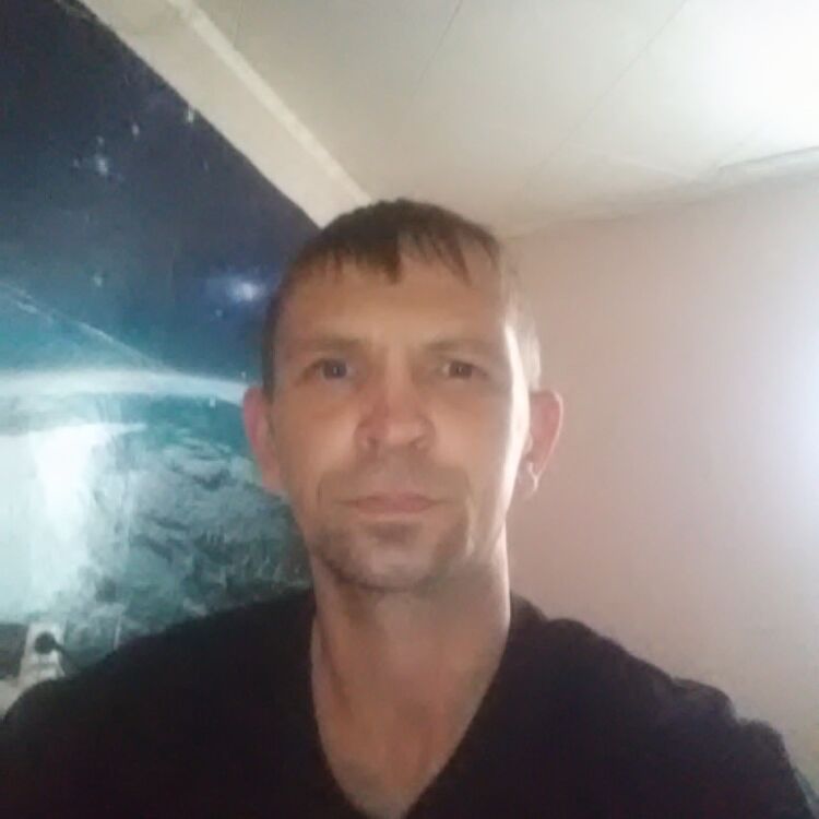  29461108  , 39 ,    