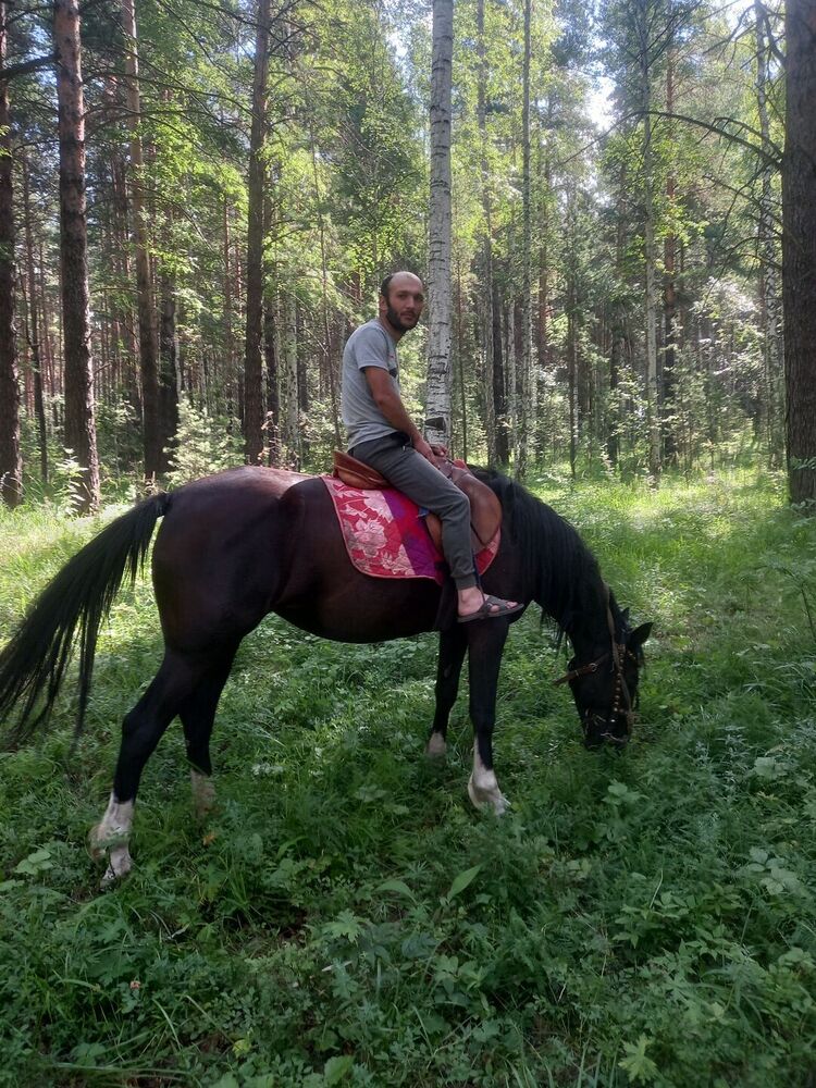 ���������� ������������, ���� ������� �������, 38 ���, ������������ ��� ������, ����� � ���������, c�������� ���������