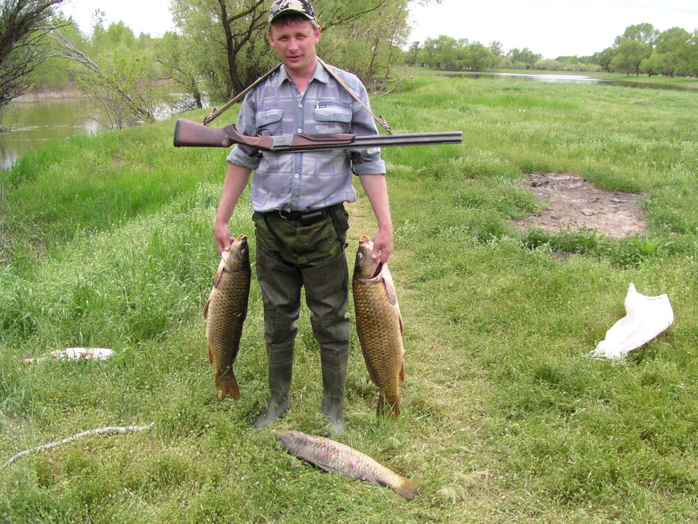  ,   Volodya, 52 ,   ,   , c 
