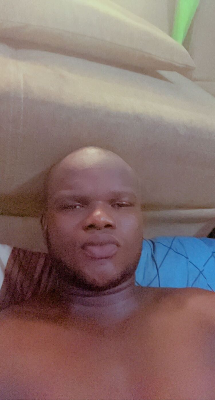  43953308  , 30 ,    