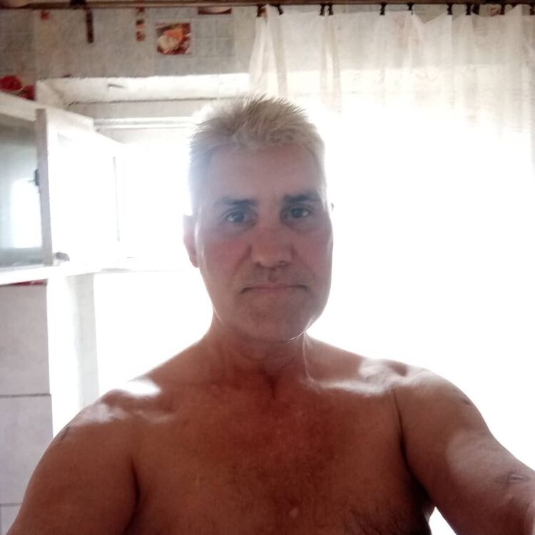  21579668  , 58 ,    