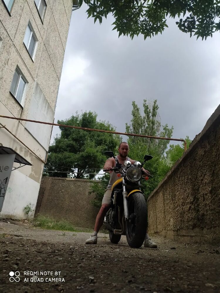  31318508  , 38 ,    