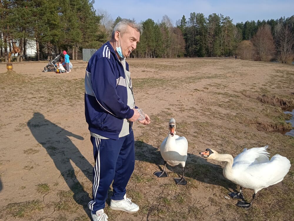 ���������� �����, ���� ������� ������, 63 ����, ������������ ��� ����� � ���������, c�������� ���������