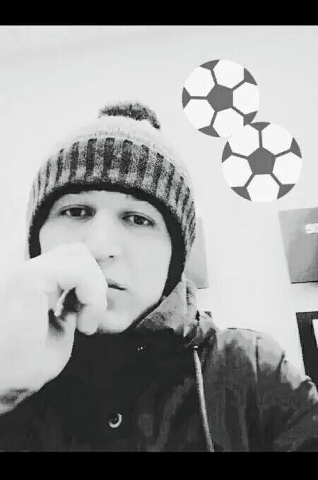  33278128  , 31 ,    