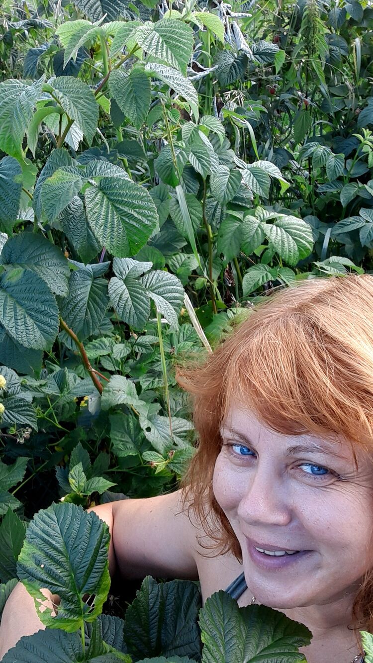 ���� 39823478 ������� �����, 53 ����, ���� ���������� � �����-����������