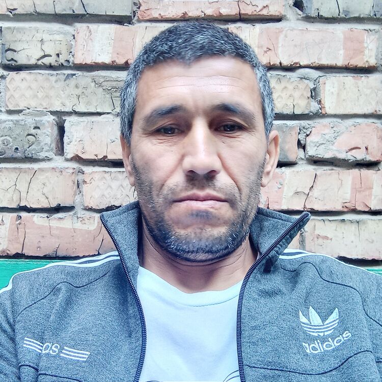 ���� 24596108 ������� ������, 48 ���, ���� ���������� � ������