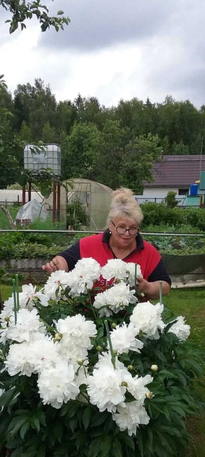  ,   , 72 ,   ,   , c 