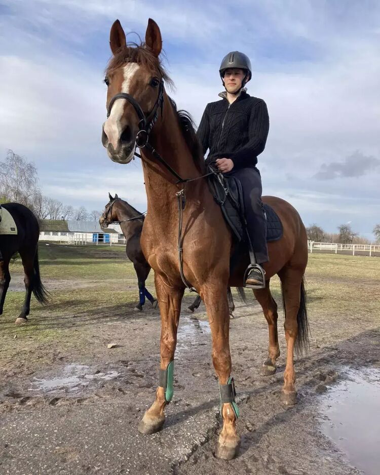 ���� 28108228 ����� ������, 24 ����, ���� ���������� � �������