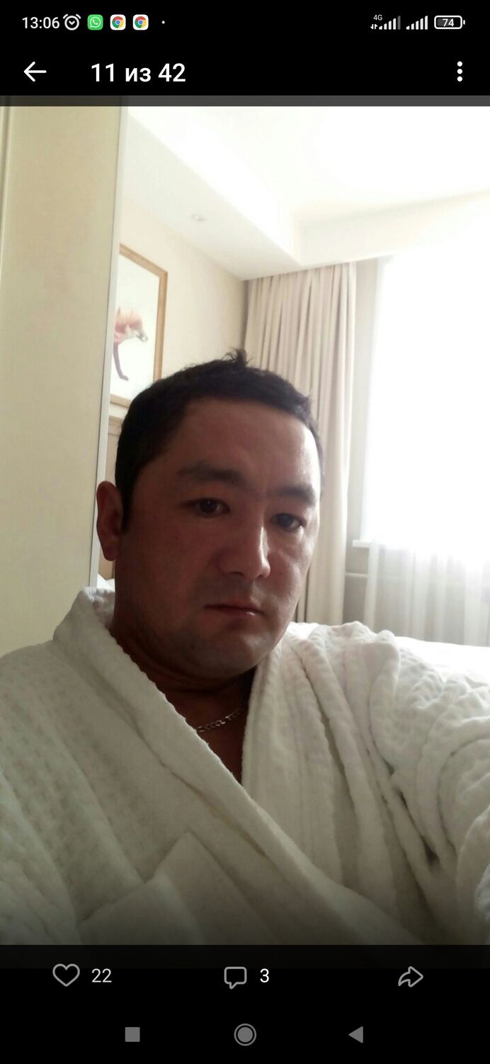  31335828  , 38 ,    