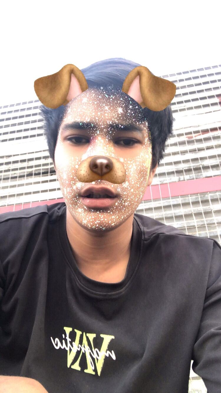  46538348  , 20 ,    