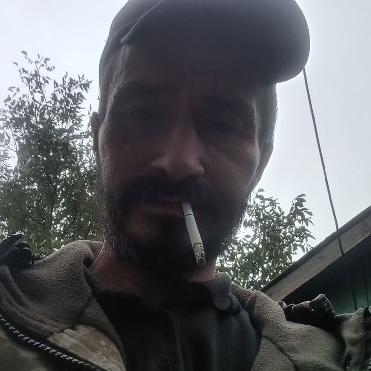  39012488  , 44 ,     