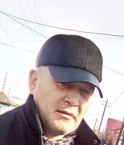  22097358  , 49 ,    