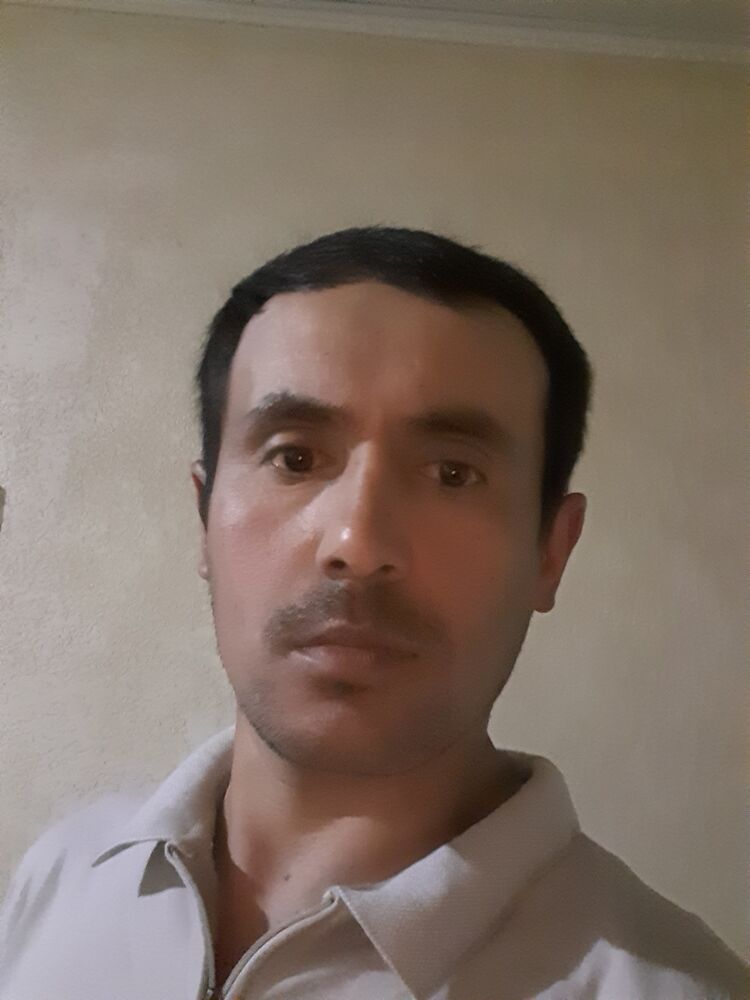  43608008  , 34 ,    