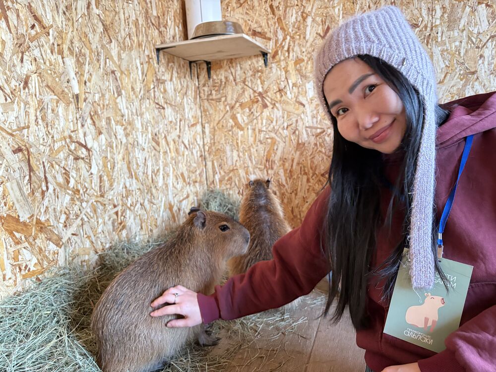 ���������� �����������, ���� ������� ���, 30 ���, ������������ ��� ���������