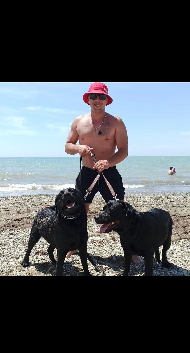 ���������� ���������, ���� ������� �����, 38 ���, ������������ ��� ������, ����� � ���������