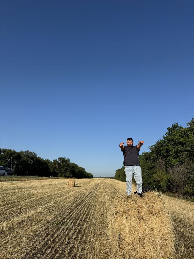  53032588  , 30 ,    --