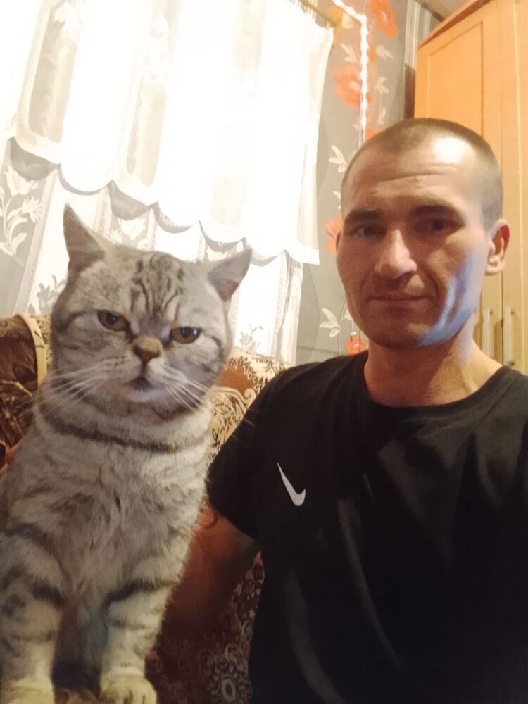 ���������� �������, ���� ������� ������, 36 ���, ������������ ��� c�������� ���������