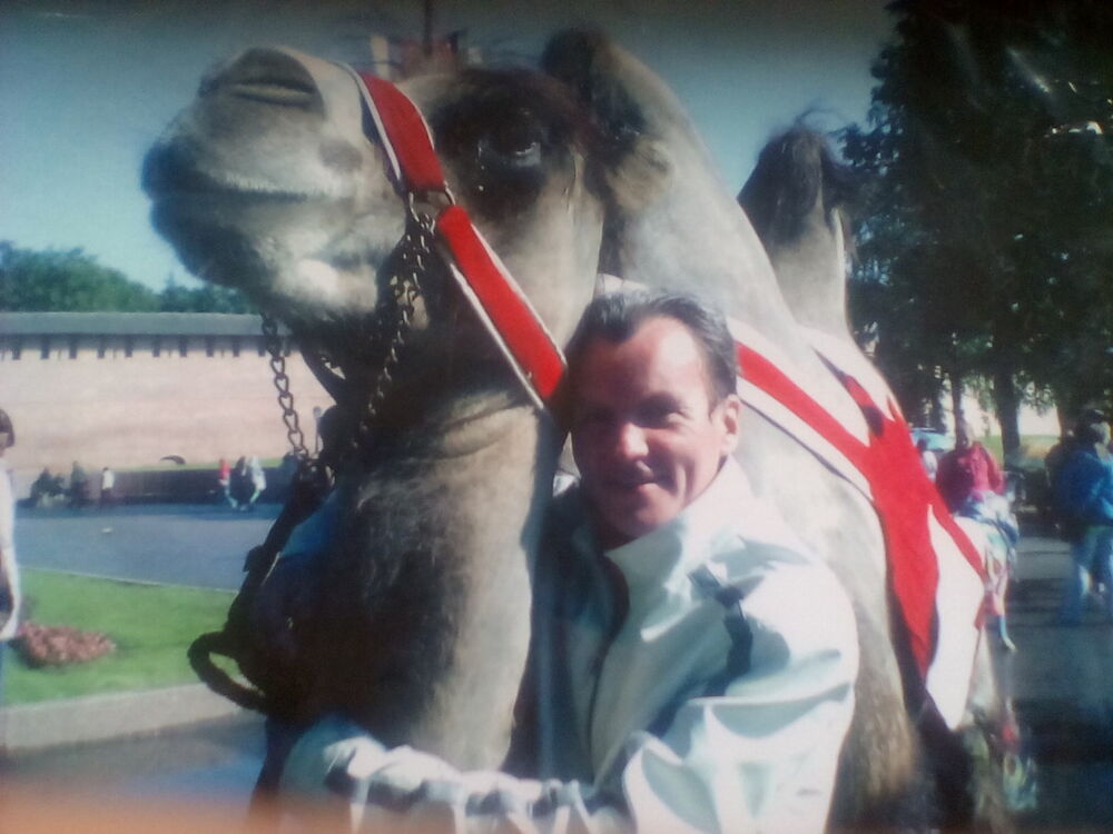 ���������� ������� ��������, ���� ������� ����, 45 ���, ������������ ��� ������, ����� � ���������, c�������� ���������