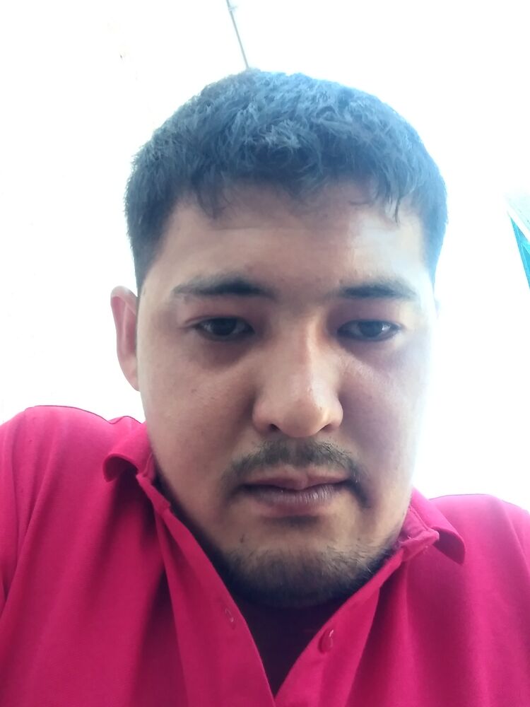 ���� 24953778 ������� ������, 32 ����, ���� ���������� � ������