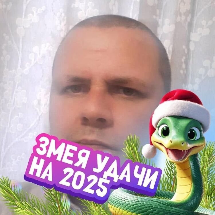 ���� 54785358 ������� �������, 43 ����, ���� ���������� � �����-����������