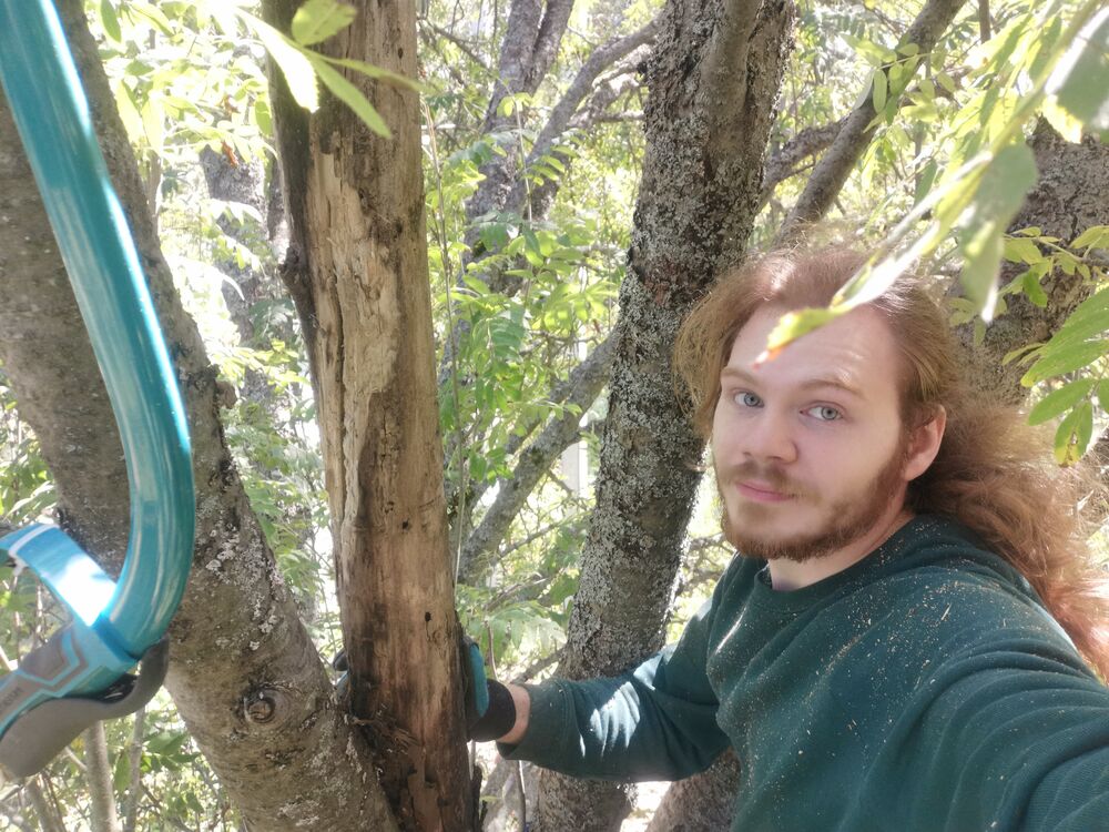 ���� 46217228 ������� ����, 28 ���, ���� ���������� � ������