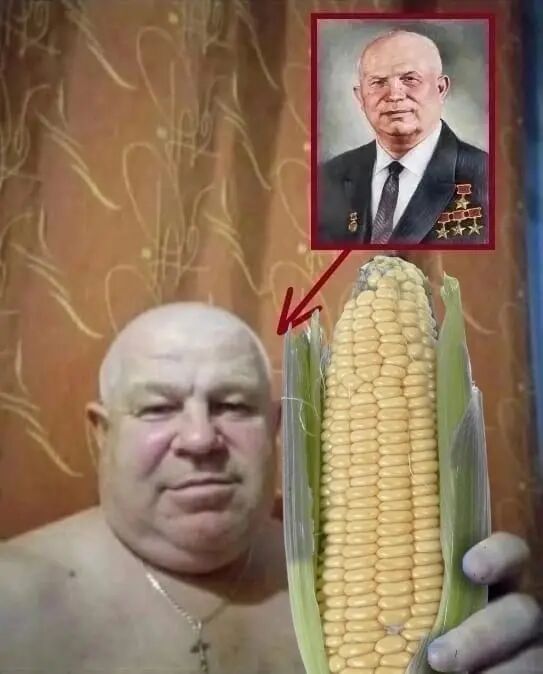 ���� 31018378 ������� ���, 35 ���, ���� ���������� � �����